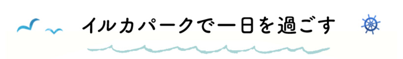 イルカパークで一日を過ごす